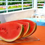 Aleja Appartement Zadar