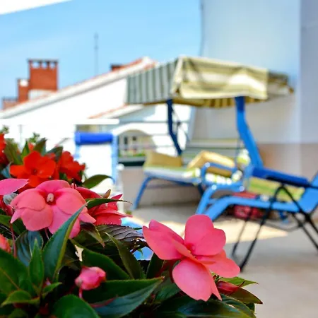 Aleja Zadar